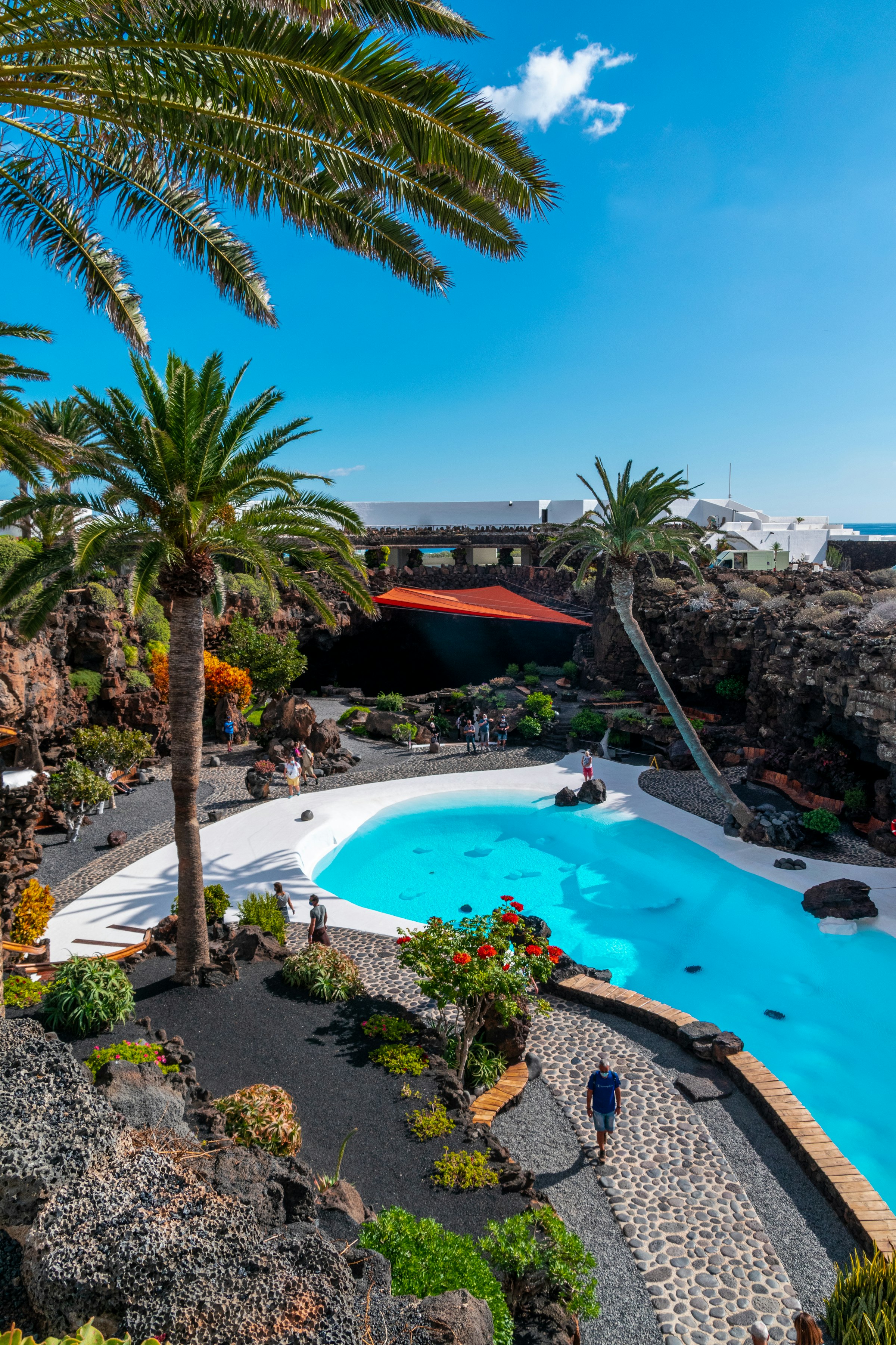 The Cove Apartments