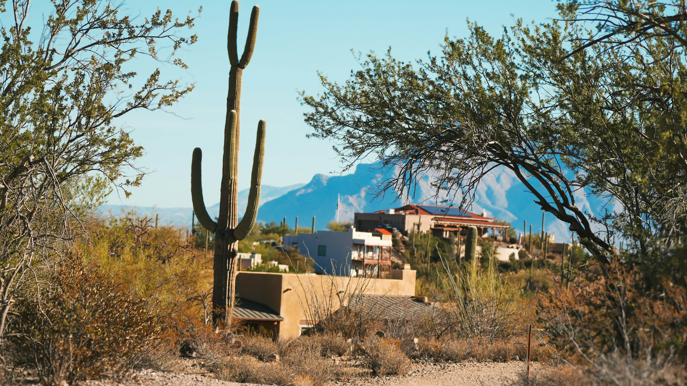 Cholla Ridge Estates